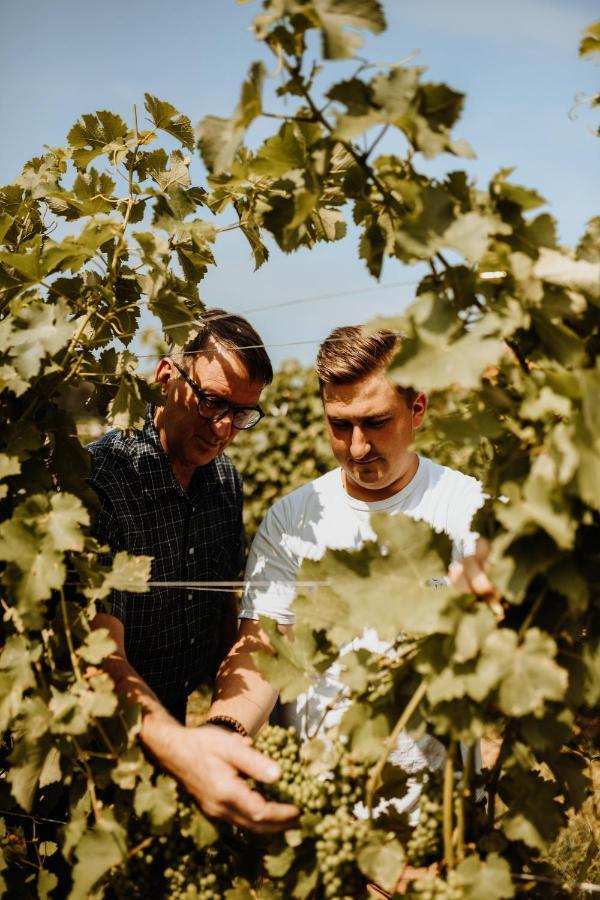 Kultur Weingut Kaestenburg Ratsch an der Weinstrasse Ngoại thất bức ảnh